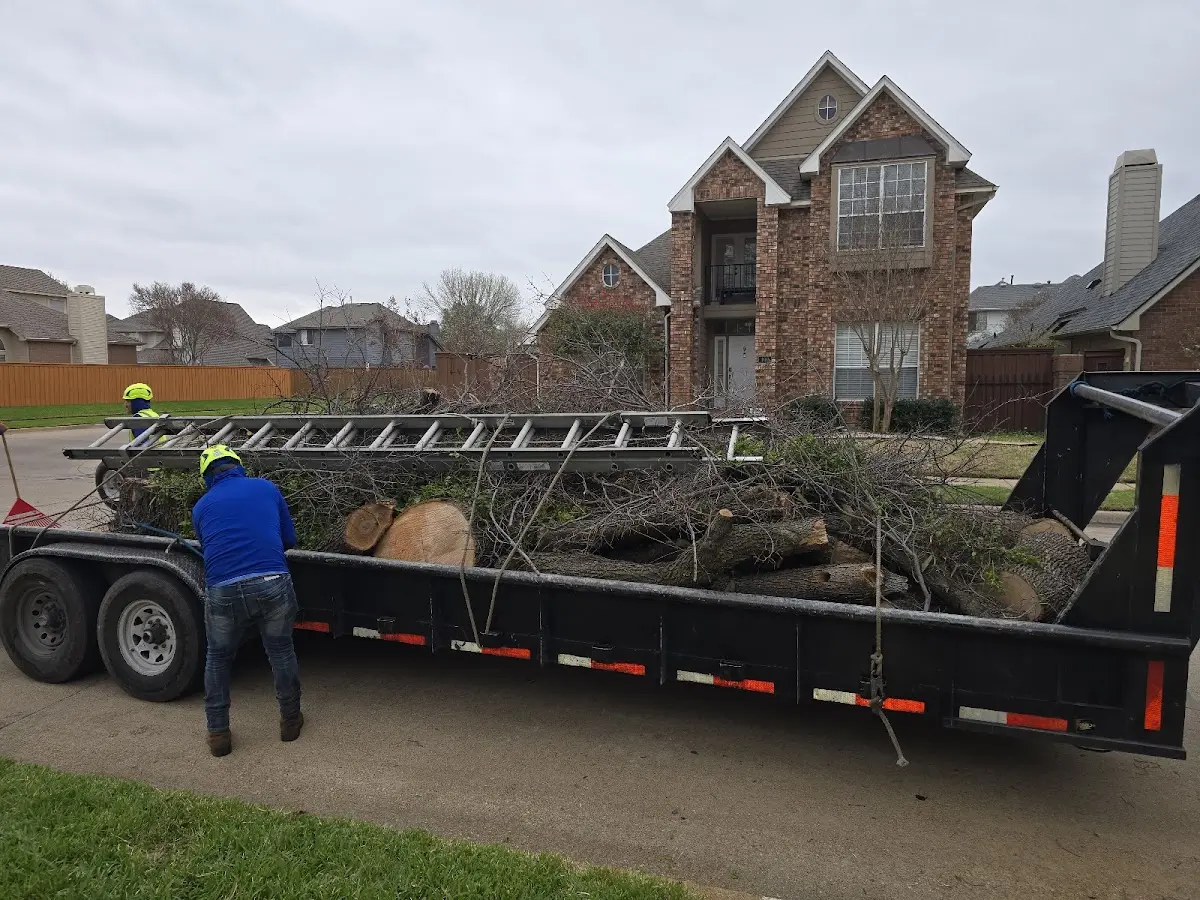 Expert Tree Fertilization with proper safety equipment in Rolling Fork